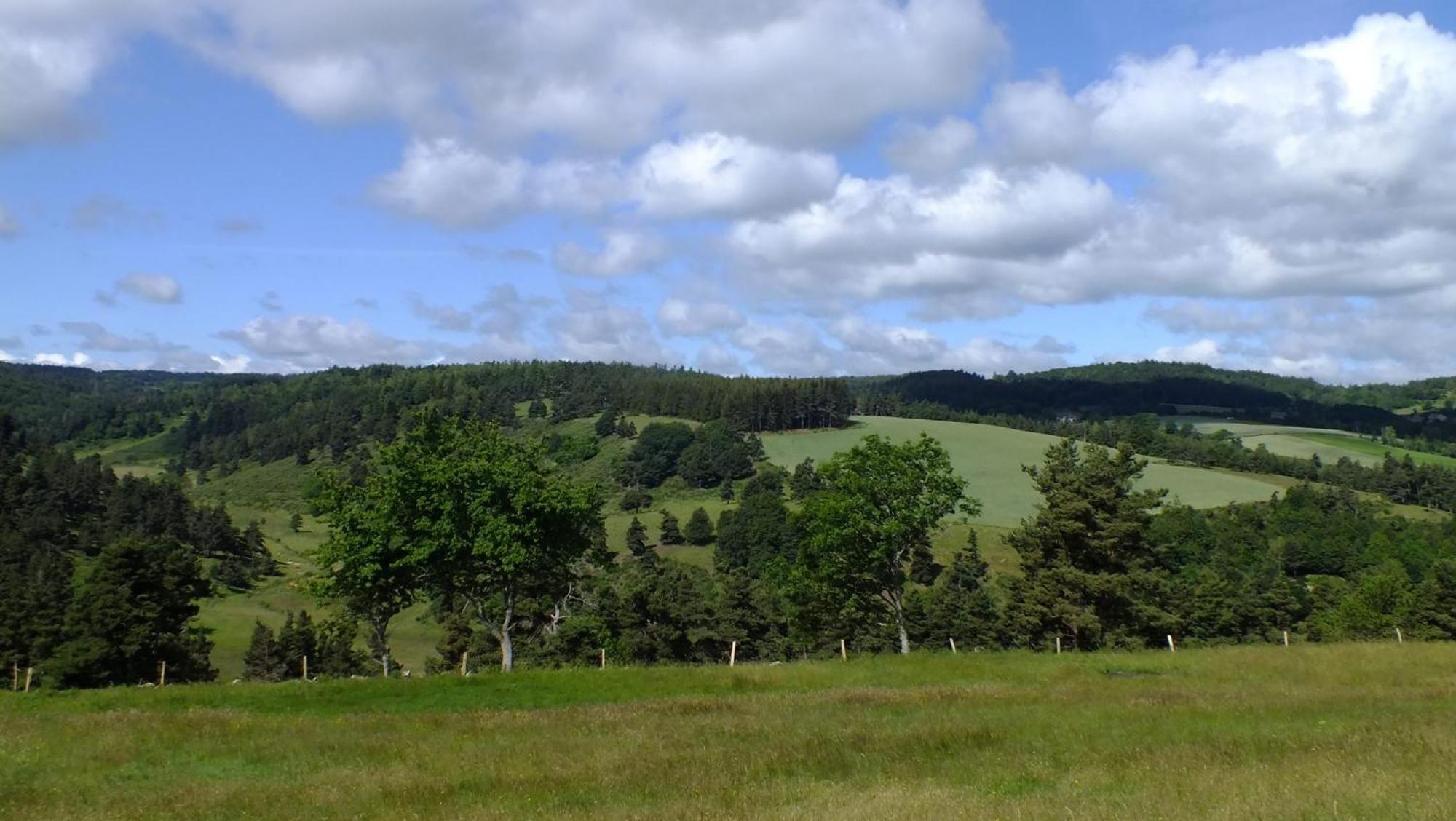Country house De La Margeride *